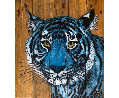 BLUE TIGER