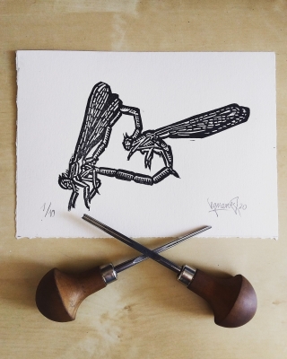 DRAGONFLY